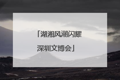 湖湘风潮闪耀深圳文博会